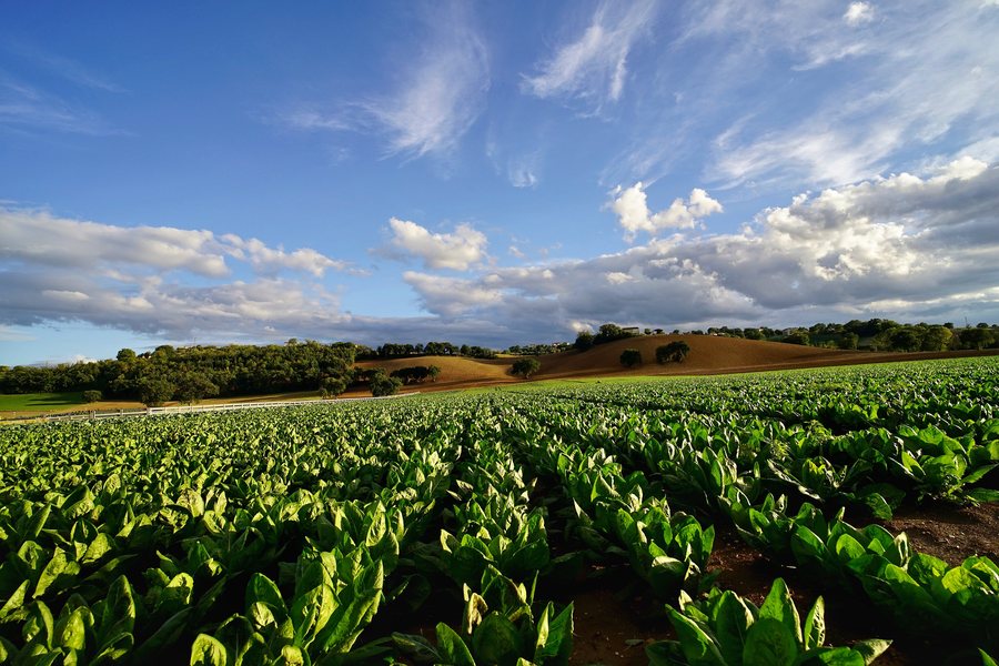 File:Fiastra park. Marche. Italy.jpg
