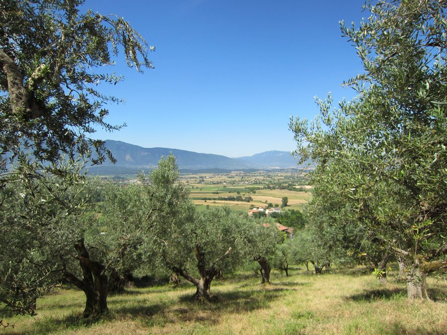 File:Lungo il sentiero Ferentino Porciano, vista della valle del Sacco - panoramio.jpg